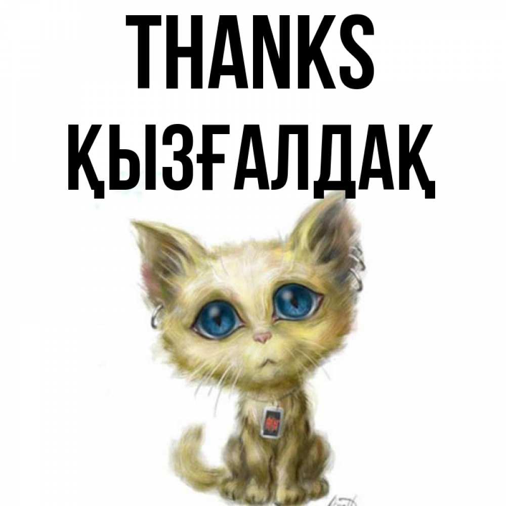 Greetings card с именем, ҚЫЗҒАЛДАҚ Thanks рисованный кот благодарит вас Greetings with text for free download 