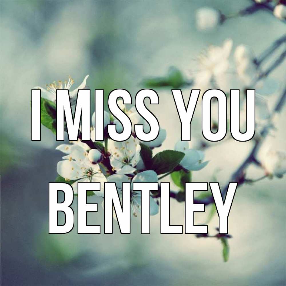 Greetings card с именем, Bentley I miss you весна Greetings with text for free download 