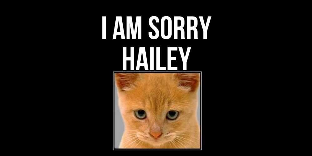 Greetings card с именем, Hailey I am sorry рыжий грустный кот просит прощения Greetings with text for free download 