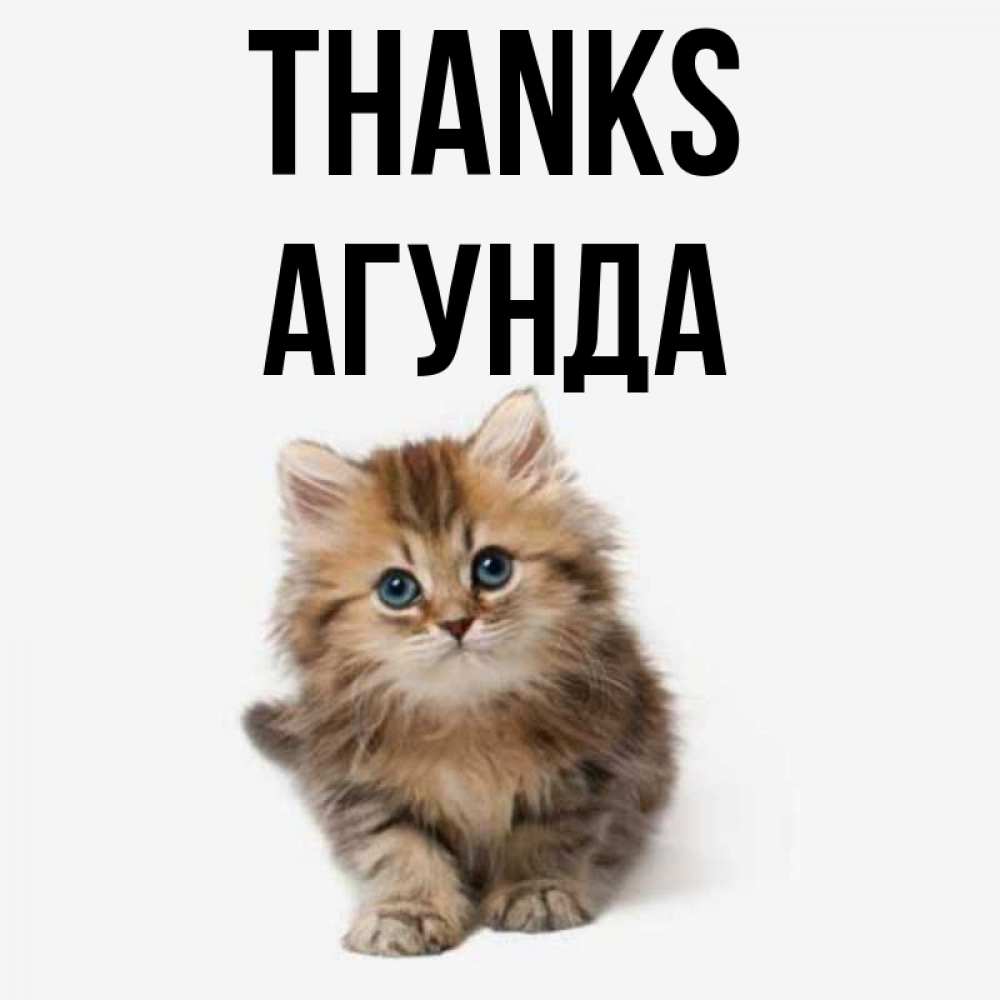 Greetings card с именем, Агунда Thanks пушистый котик Greetings with text for free download 