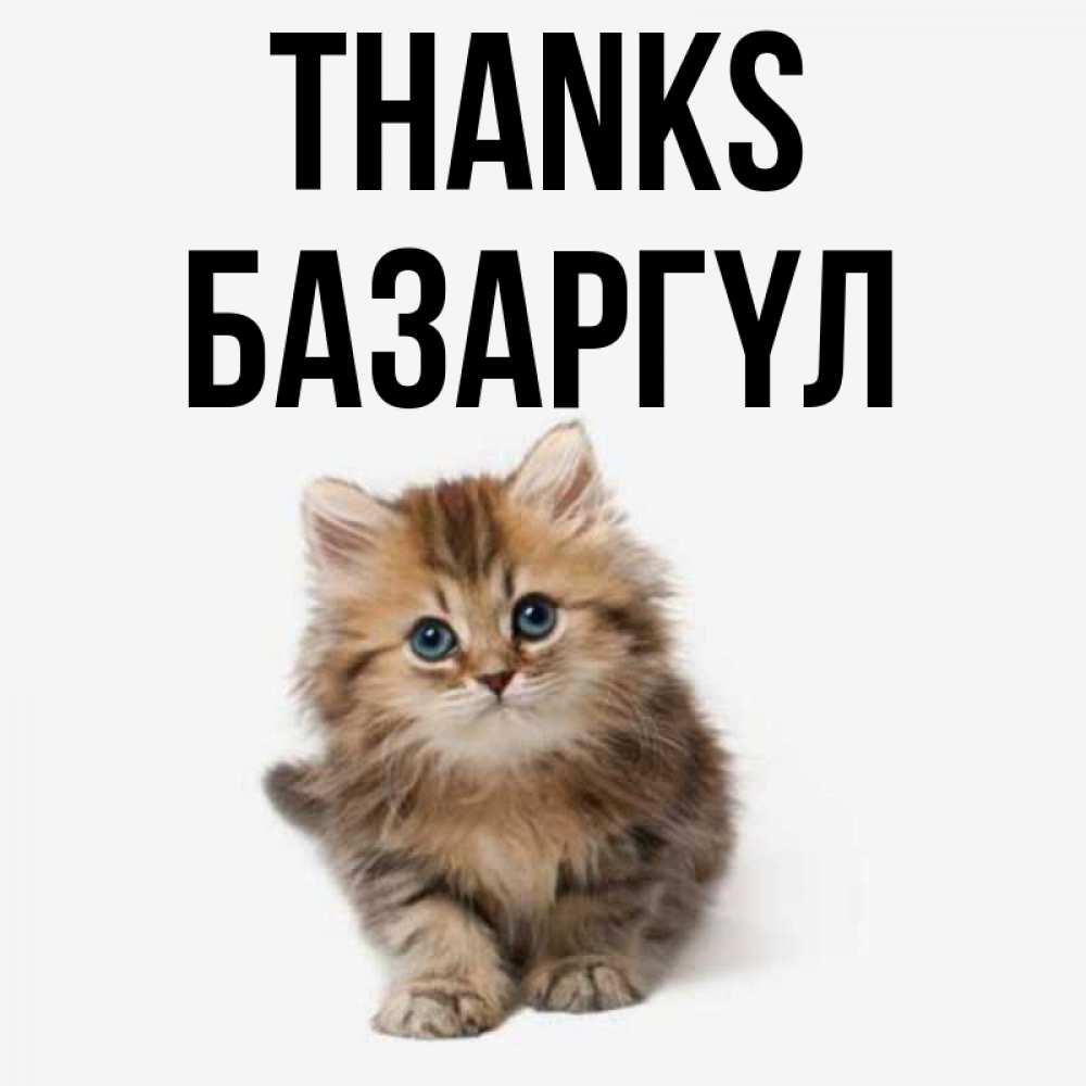 Greetings card с именем, БАЗАРГҮЛ Thanks пушистый котик Greetings with text for free download 