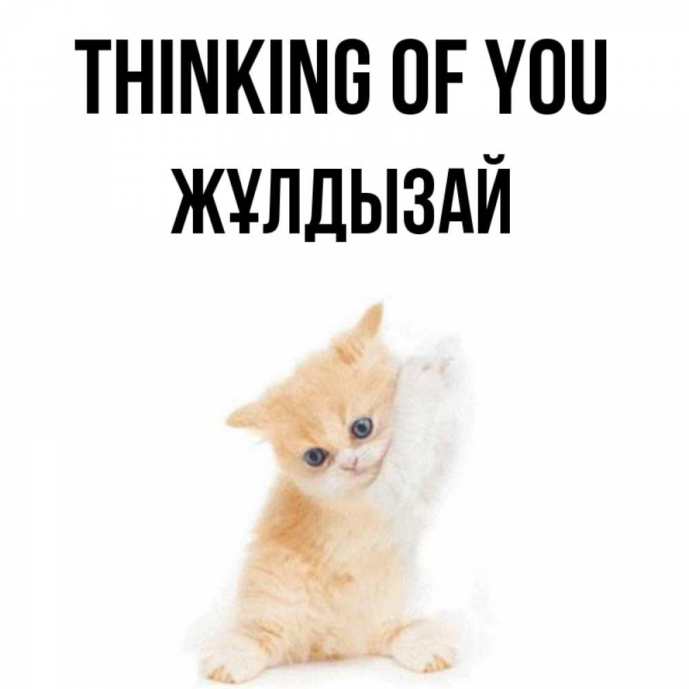 Greetings card с именем, ЖҰЛДЫЗАЙ Thinking of you зверушки и милота Greetings with text for free download 