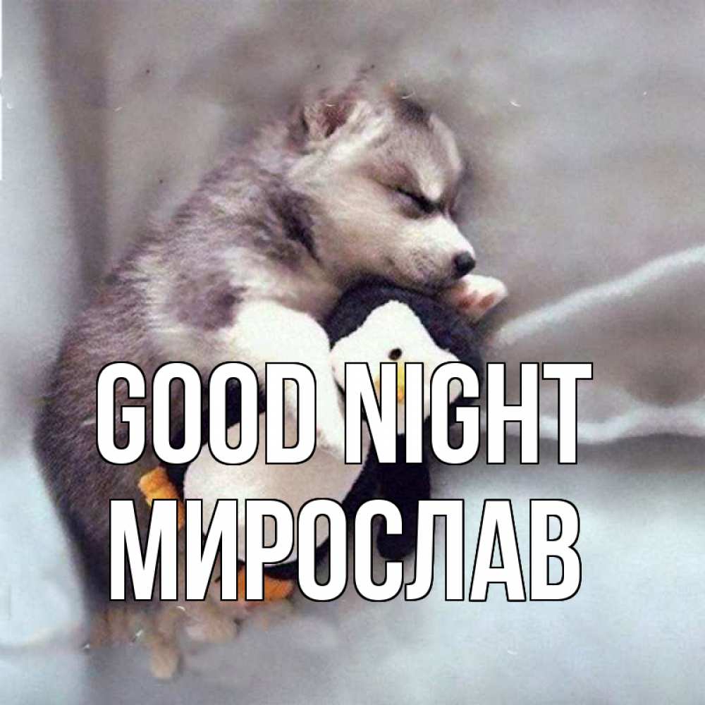 Greetings card с именем, Мирослав Good night обнимашки щенка и пингвина Greetings with text for free download 