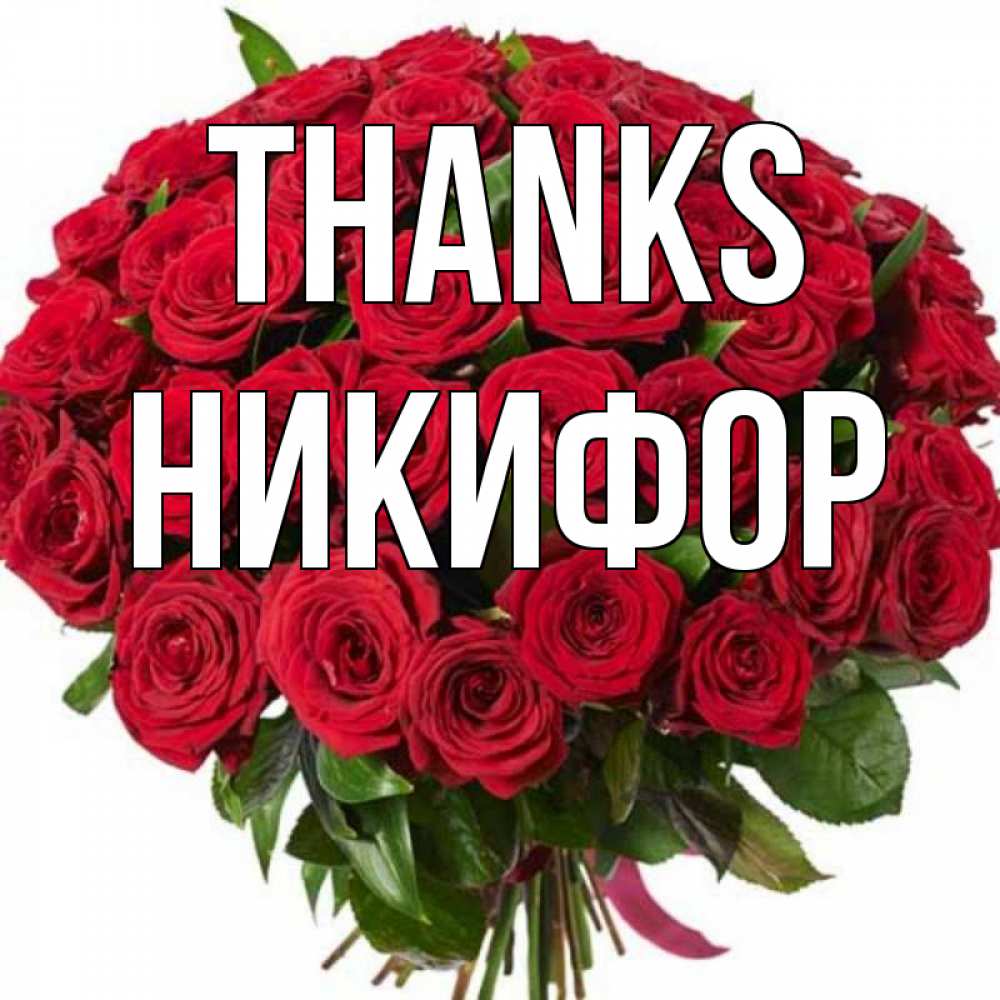 Greetings card с именем, Никифор Thanks букет красных роз Greetings with text for free download 