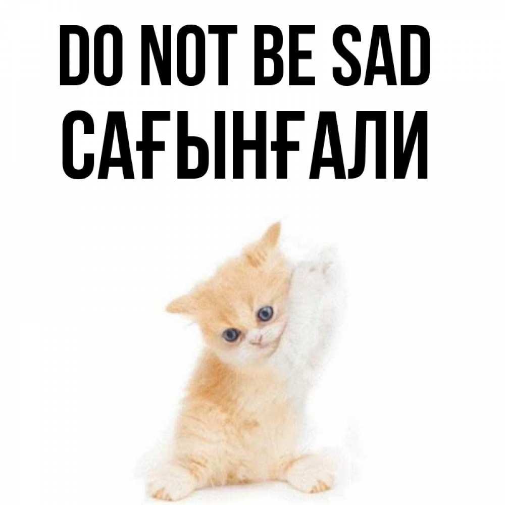 Greetings card с именем, Сағынғали Do not be sad просящий кот Greetings with text for free download 