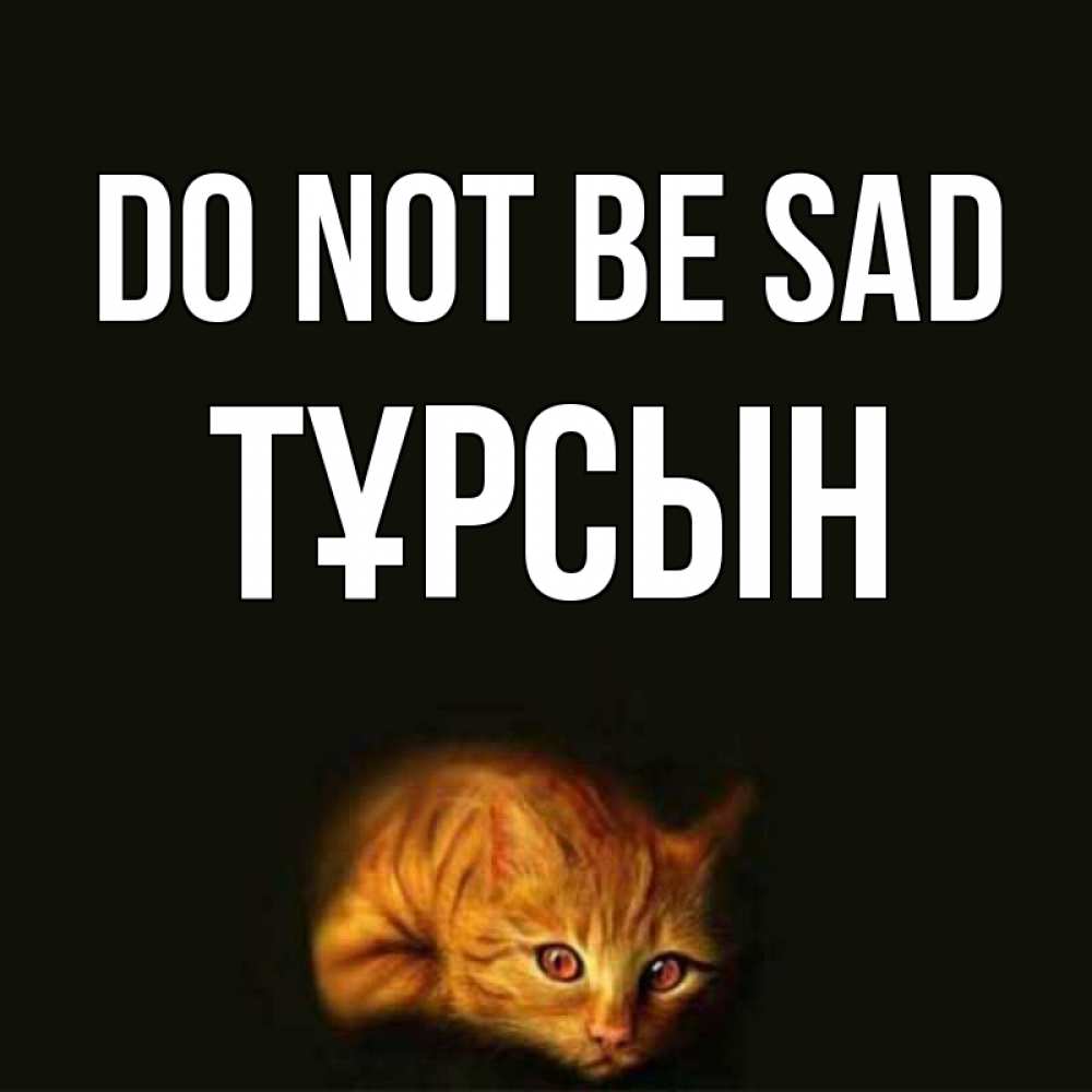 Greetings card с именем, ТҰРСЫН Do not be sad лежащий кот в темноте Greetings with text for free download 