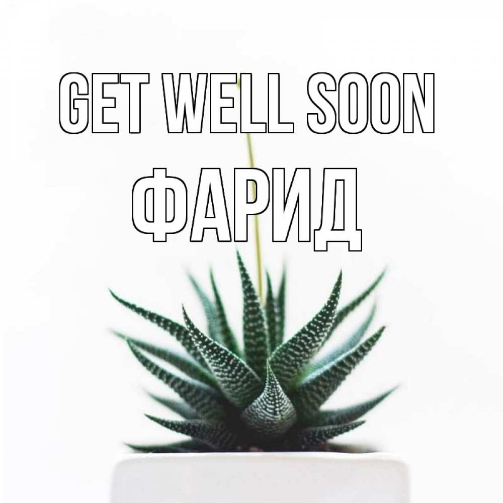 Greetings card с именем, ФАРИД Get well soon короче это непонятная колючка Greetings with text for free download 