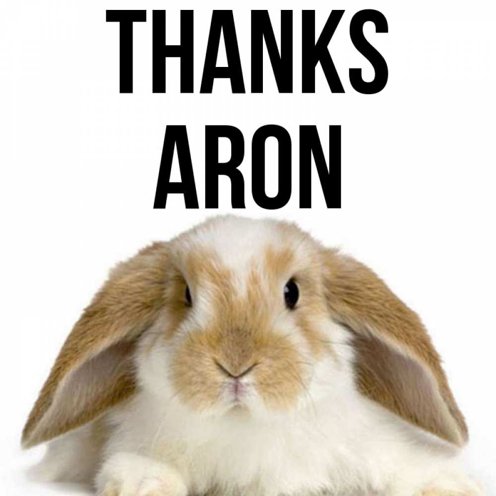 Greetings card с именем, Aron Thanks коричнево белый заяц Greetings with text for free download 