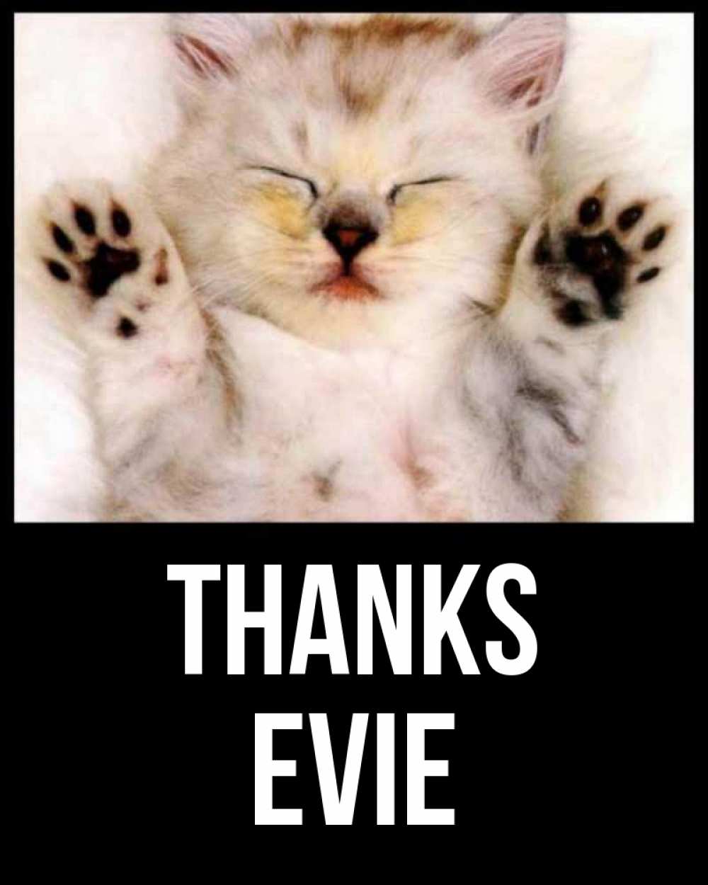 Greetings card с именем, Evie Thanks маленький котенок Greetings with text for free download 