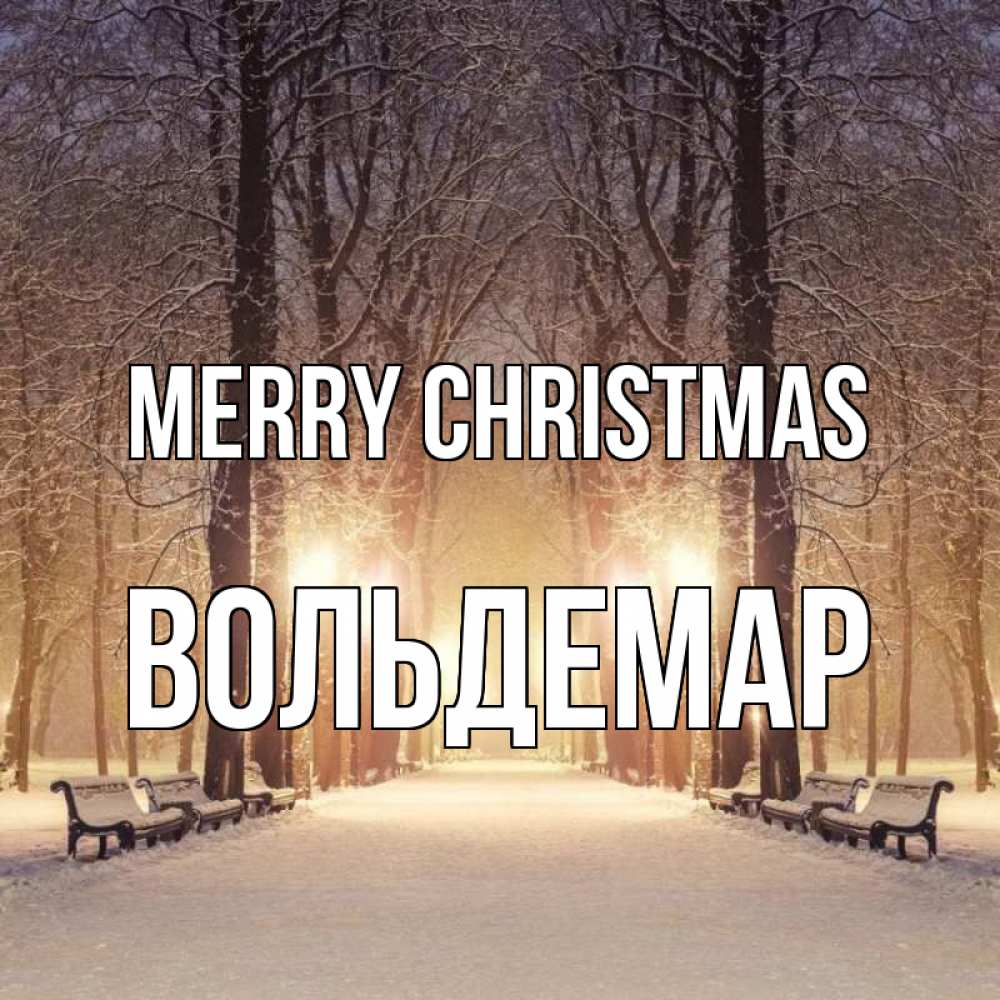 Greetings card с именем, Вольдемар Merry Christmas зима, парк, фонарь, лес Greetings with text for free download 