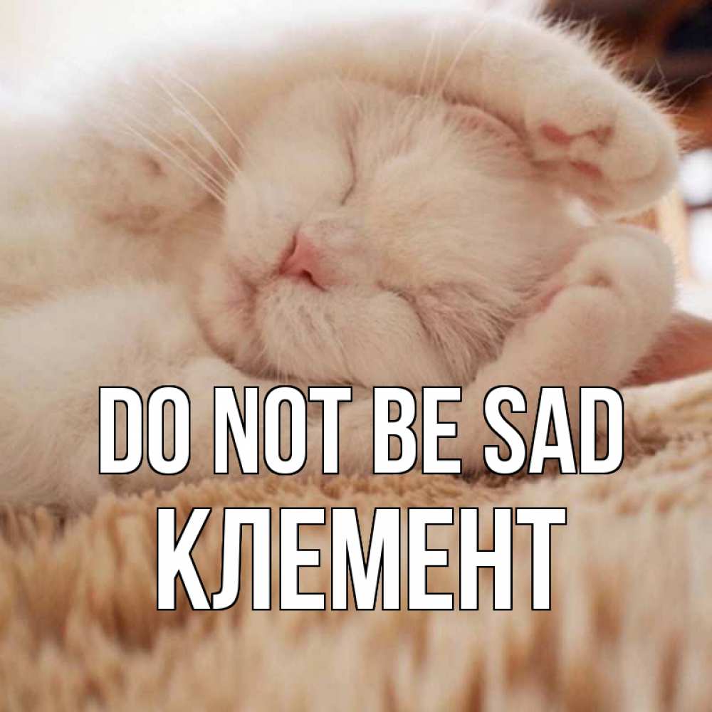 Greetings card с именем, Клемент Do not be sad белый кот Greetings with text for free download 