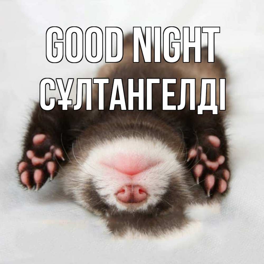 Greetings card с именем, СҰЛТАНГЕЛДІ Good night зверек Greetings with text for free download 