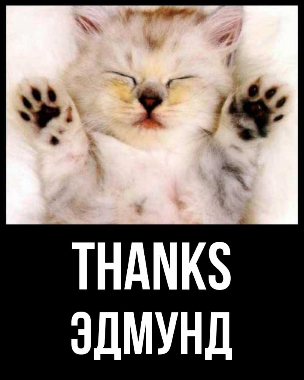 Greetings card с именем, Эдмунд Thanks маленький котенок Greetings with text for free download 