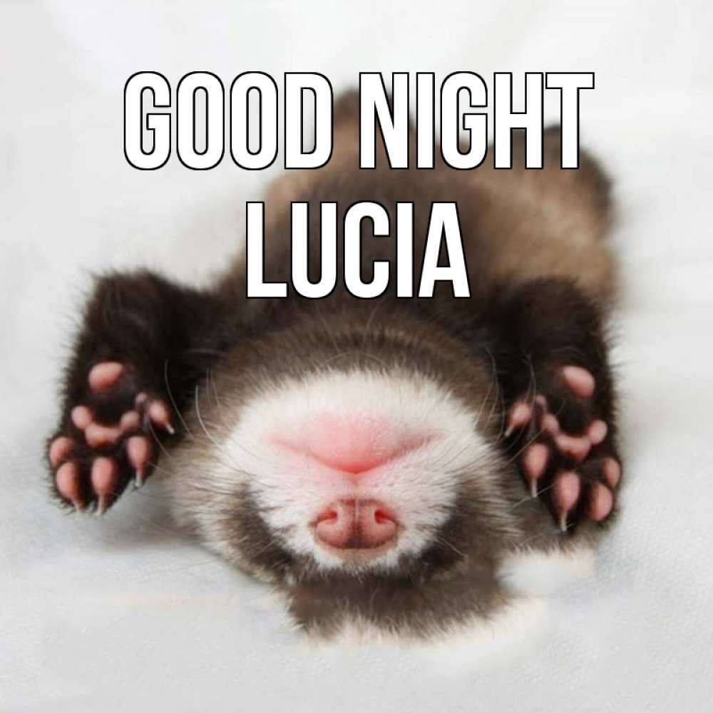 Greetings card с именем, Lucia Good night зверек Greetings with text for free download 