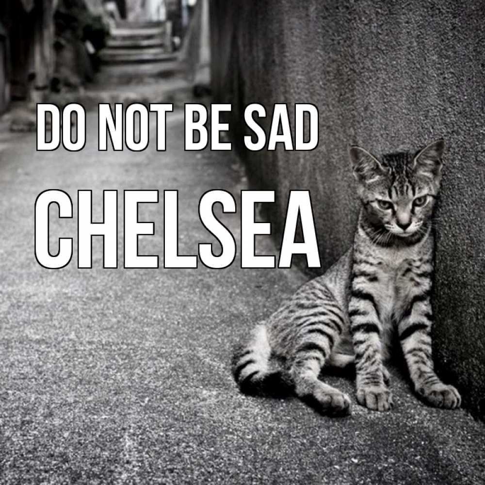 Greetings card с именем, Chelsea Do not be sad скучающий котик Greetings with text for free download 