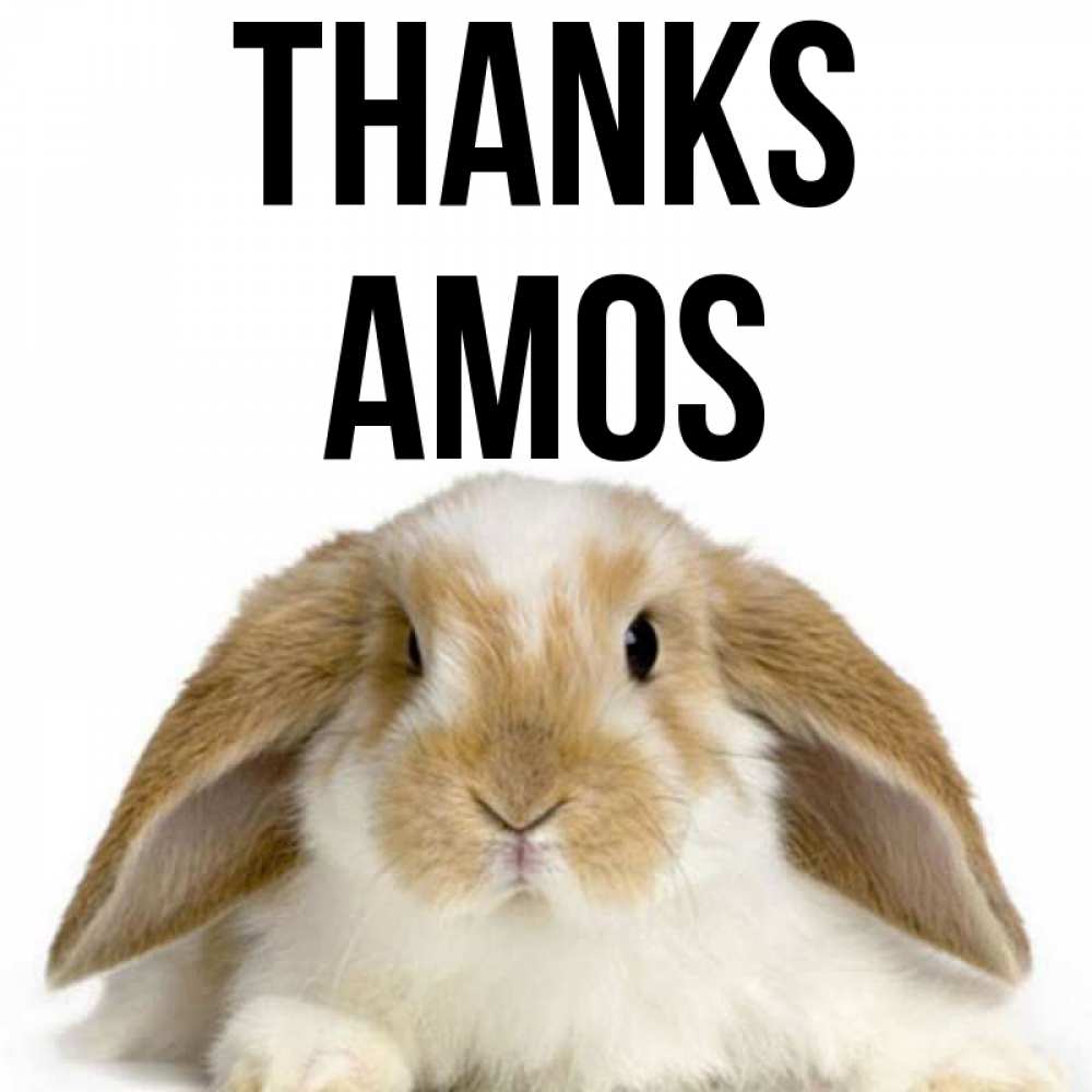 Greetings card с именем, Amos Thanks коричнево белый заяц Greetings with text for free download 