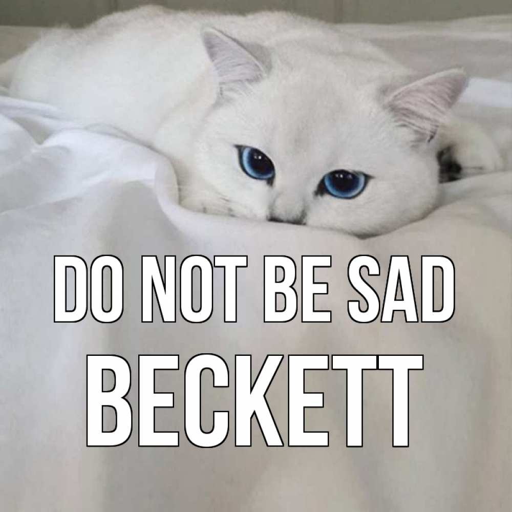 Greetings card с именем, Beckett Do not be sad белый кот с голубыми глазами на белоснежной кровати Greetings with text for free download 