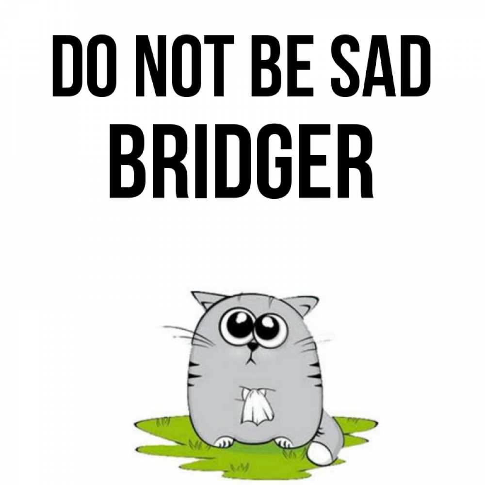 Greetings card с именем, Bridger Do not be sad грустный котяра Greetings with text for free download 