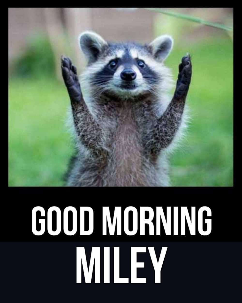 Greetings card с именем, Miley Good morning хорошее настроение утречком Greetings with text for free download 