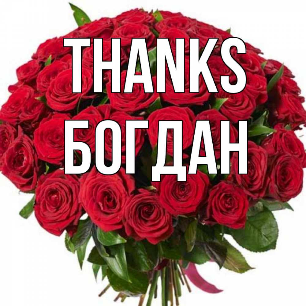 Greetings card с именем, Богдан Thanks букет красных роз Greetings with text for free download 