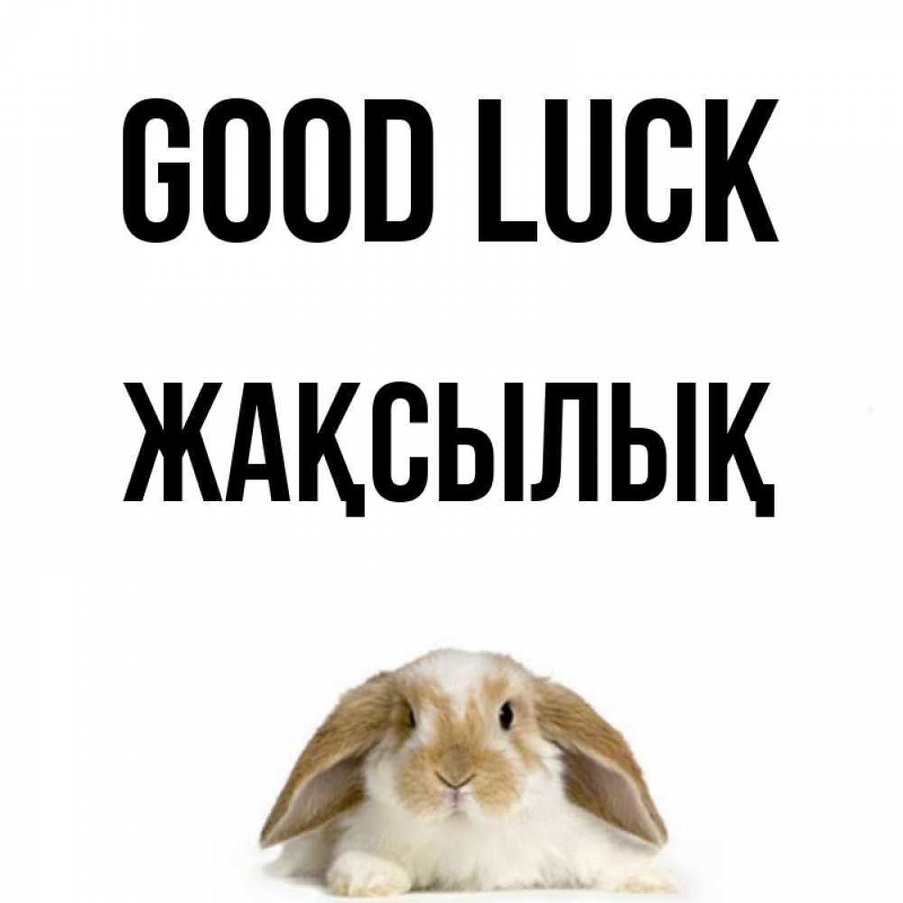 Greetings card с именем, Жақсылық Good luck открытки с произвольным текстом который можно вставить в открытку и создать ее самостоятельно бесплатно онлайн Greetings with text for free download 