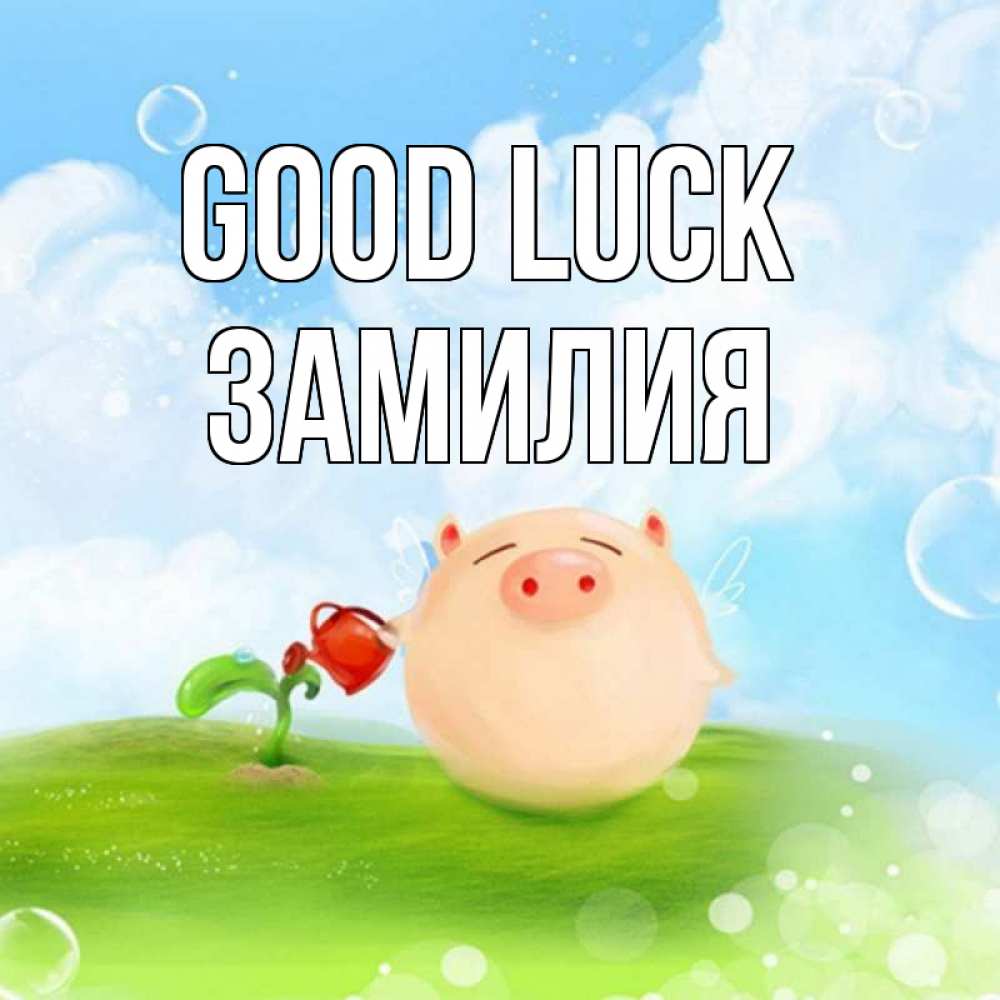 Greetings card с именем, ЗАМИЛИЯ Good luck поросенок поливает цветок. летнее настроение Greetings with text for free download 