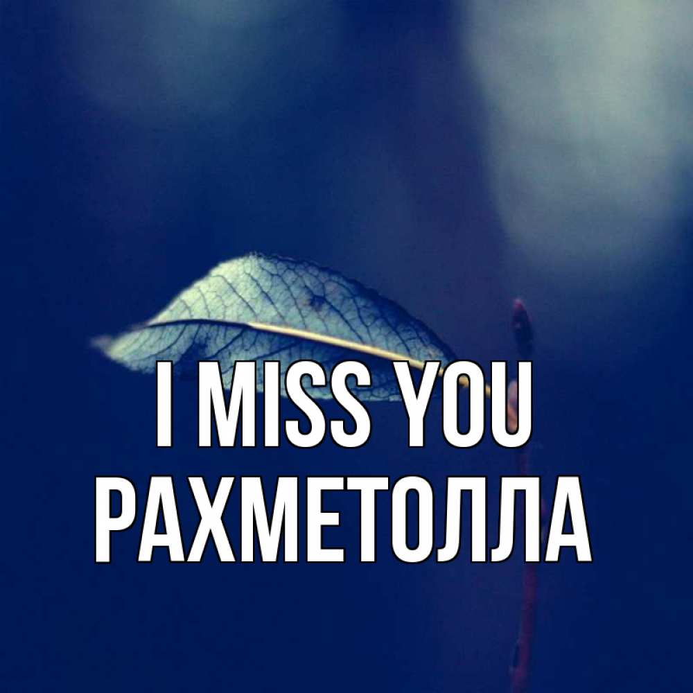 Greetings card с именем, РАХМЕТОЛЛА I miss you одна ветка 1 Greetings with text for free download 
