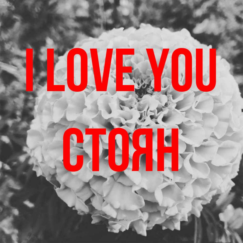 Greetings card с именем, Стоян I love you подпись Greetings with text for free download 