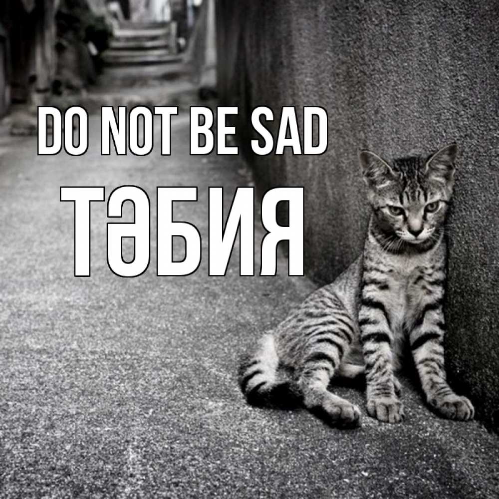 Greetings card с именем, ТӘБИЯ Do not be sad скучающий котик Greetings with text for free download 