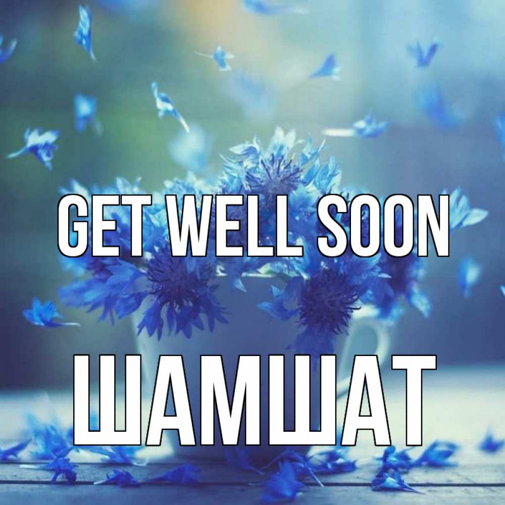 Greetings card с именем, ШАМШАТ Get well soon кружка с зельем и цветами Greetings with text for free download 