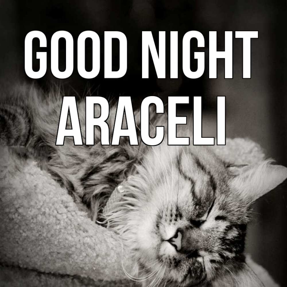 Greetings card с именем, Araceli Good night котярик пушистый Greetings with text for free download 