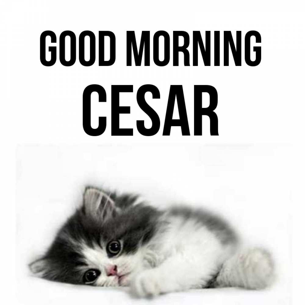 Greetings card с именем, Cesar Good morning кот лапки Greetings with text for free download 