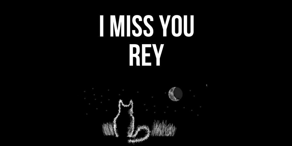 Greetings card с именем, Rey I miss you кот Greetings with text for free download 
