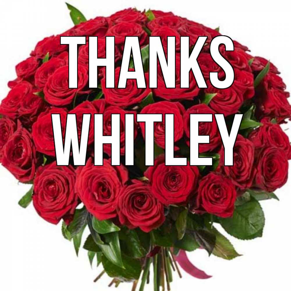 Greetings card с именем, Whitley Thanks букет красных роз Greetings with text for free download 