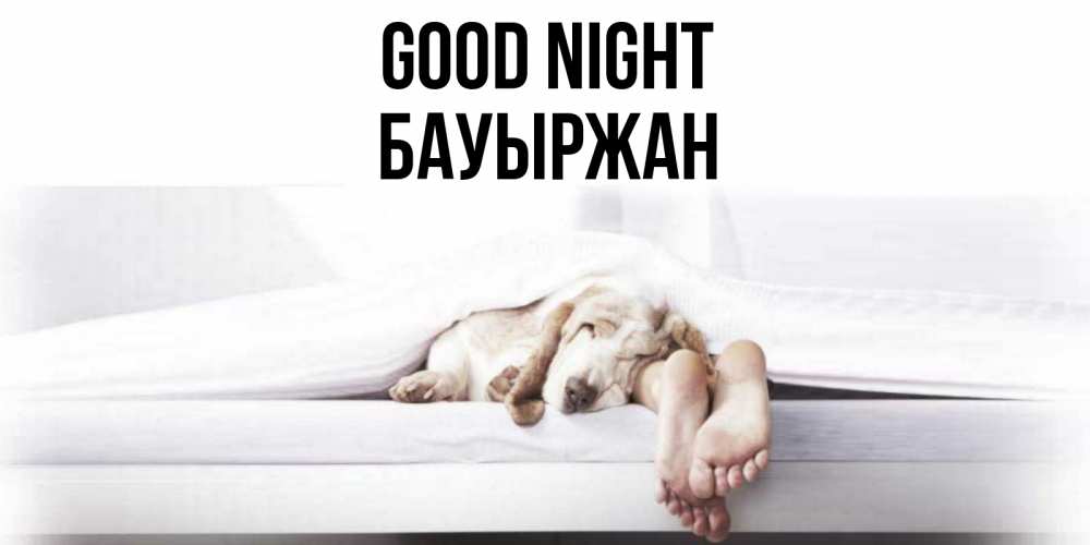 Greetings card с именем, Бауыржан Good night кровать с собакой пожелание сладких снов и спокойной ночи Greetings with text for free download 