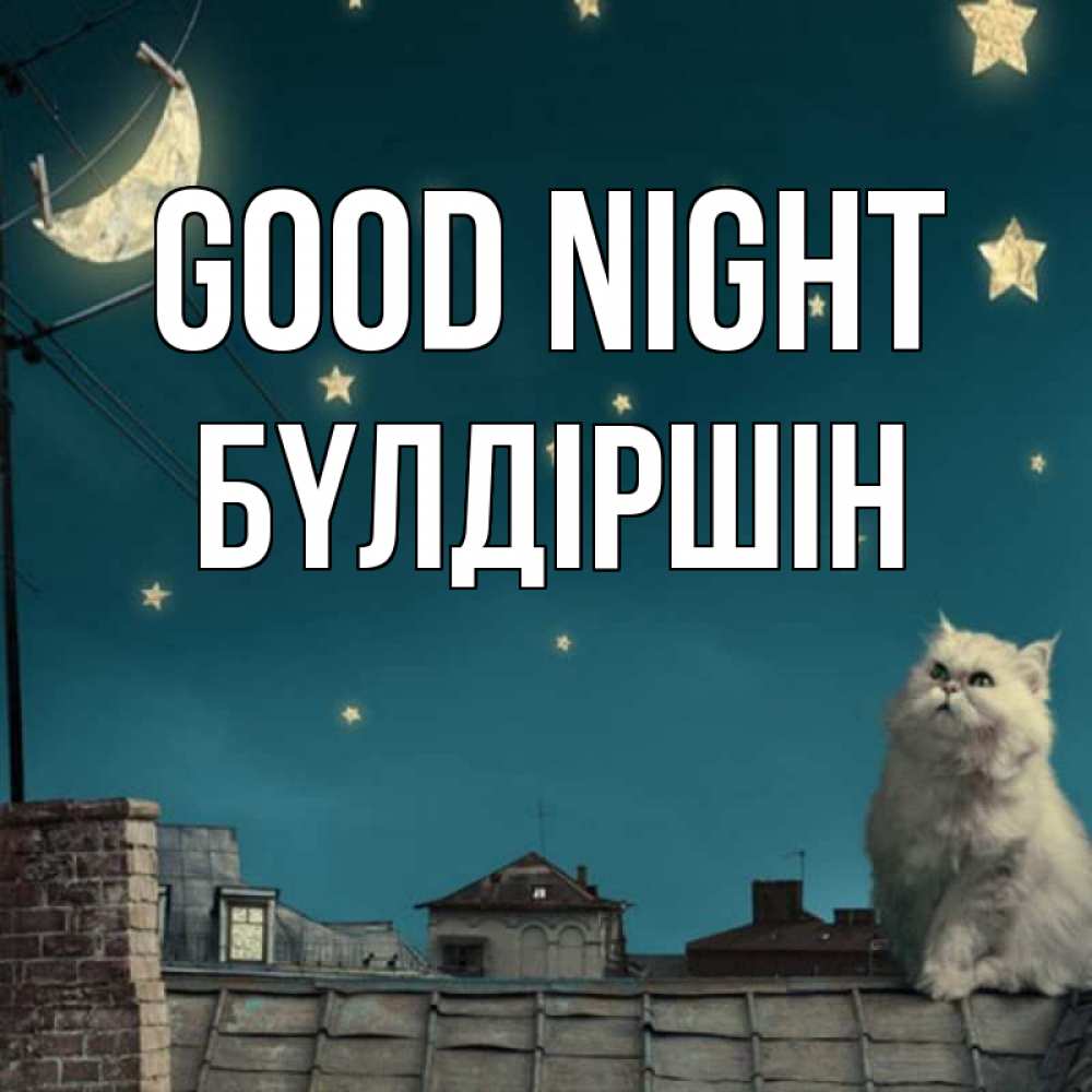 Greetings card с именем, БҮЛДІРШІН Good night белый кот сидит на крыше Greetings with text for free download 