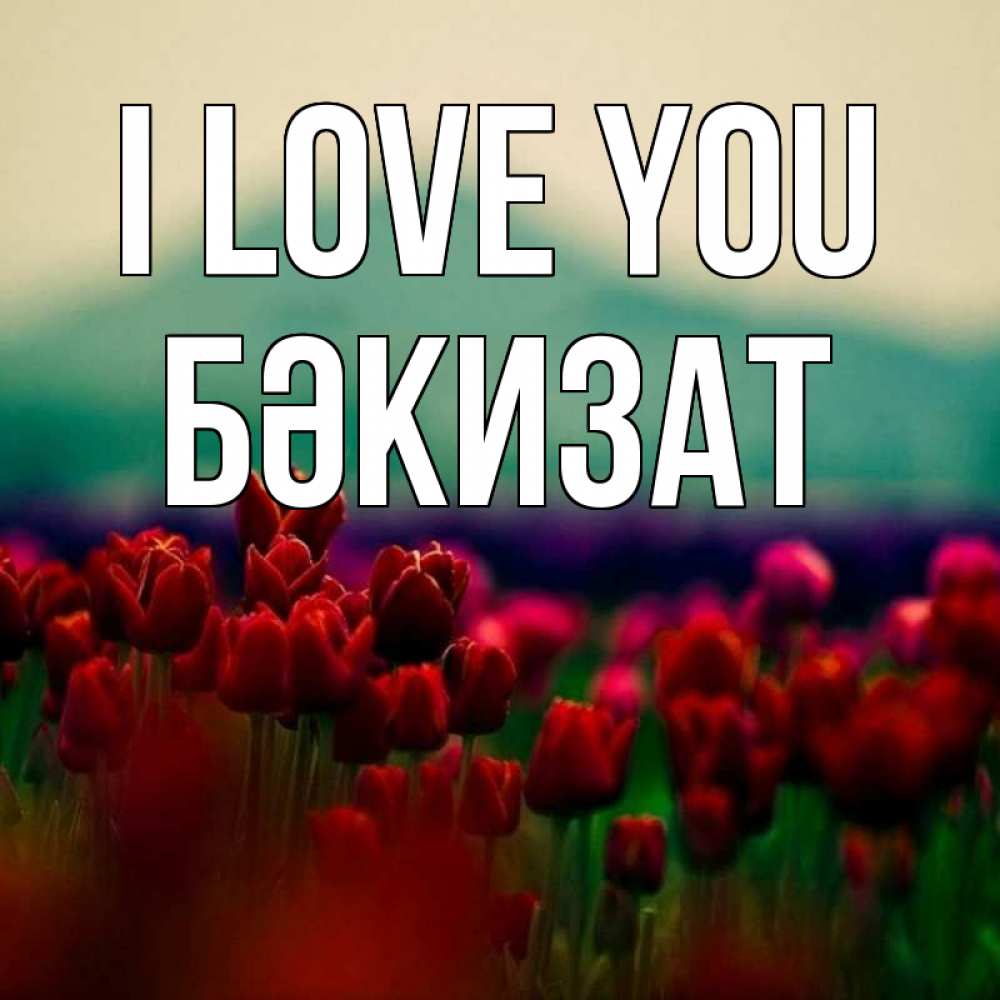 Greetings card с именем, БӘКИЗАТ I love you тюльпаны 4 Greetings with text for free download 