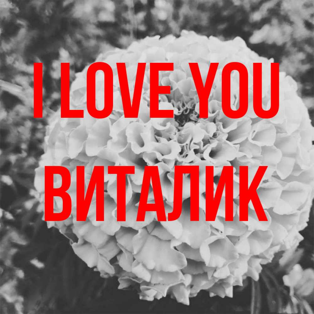 Greetings card с именем, Виталик I love you подпись Greetings with text for free download 