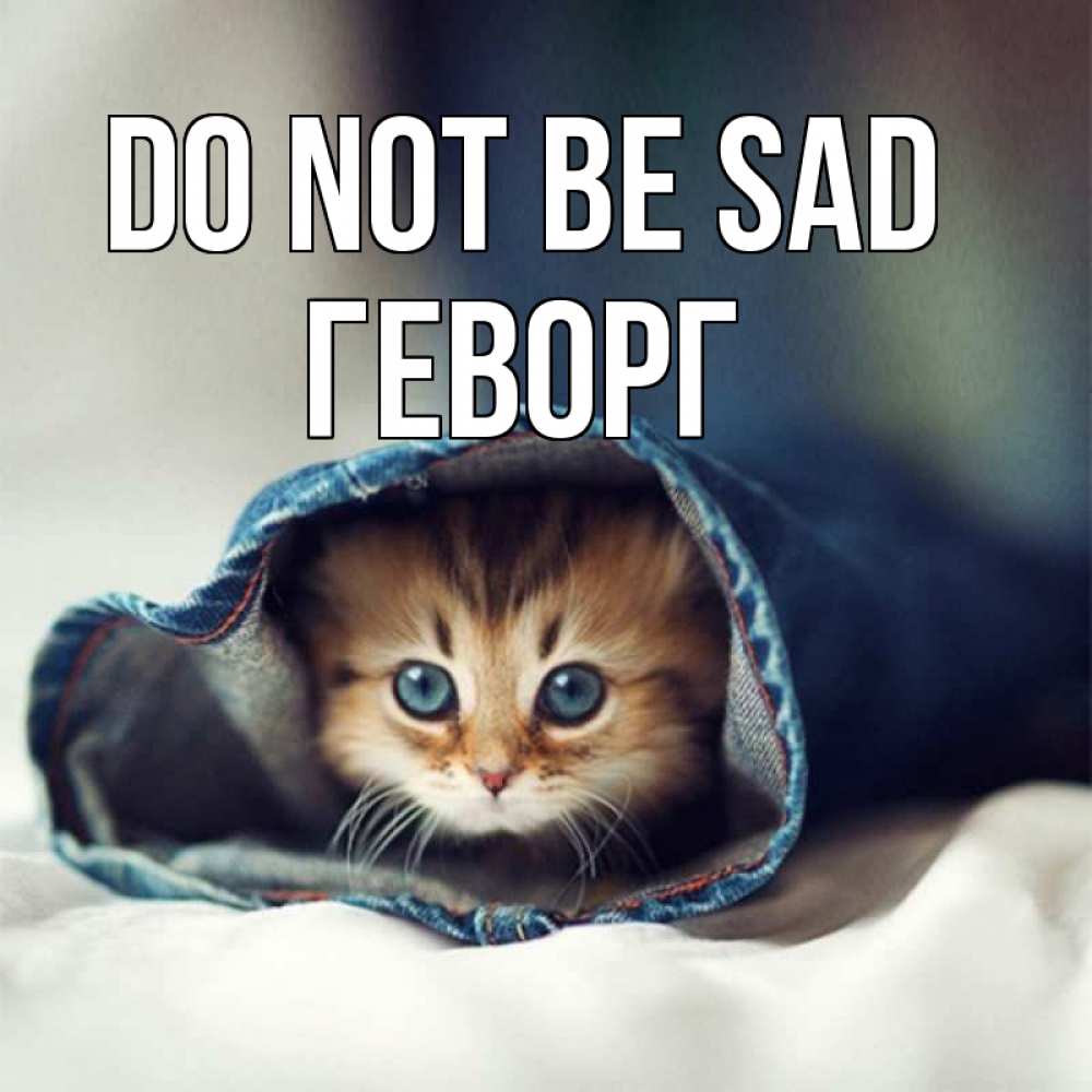 Greetings card с именем, Геворг Do not be sad рыжик котик Greetings with text for free download 