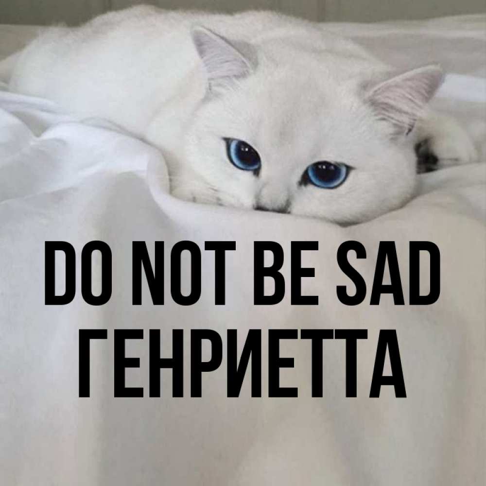 Greetings card с именем, Генриетта Do not be sad Голубоглазая кошка Greetings with text for free download 