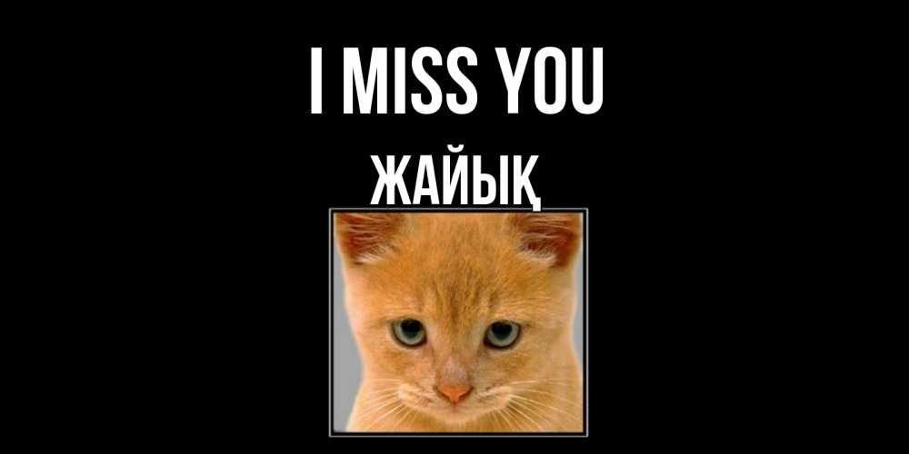 Greetings card с именем, Жайық I miss you открытки рыжий котенок скучает по тебе Greetings with text for free download 