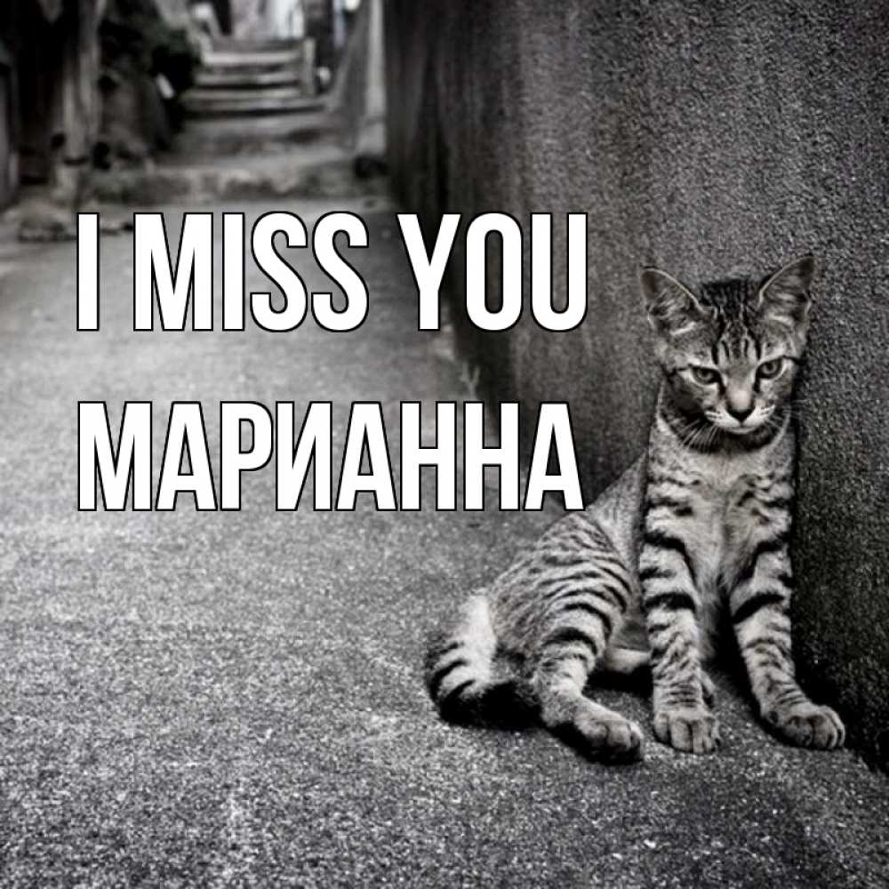 Greetings card с именем, Марианна I miss you одиноко котику Greetings with text for free download 
