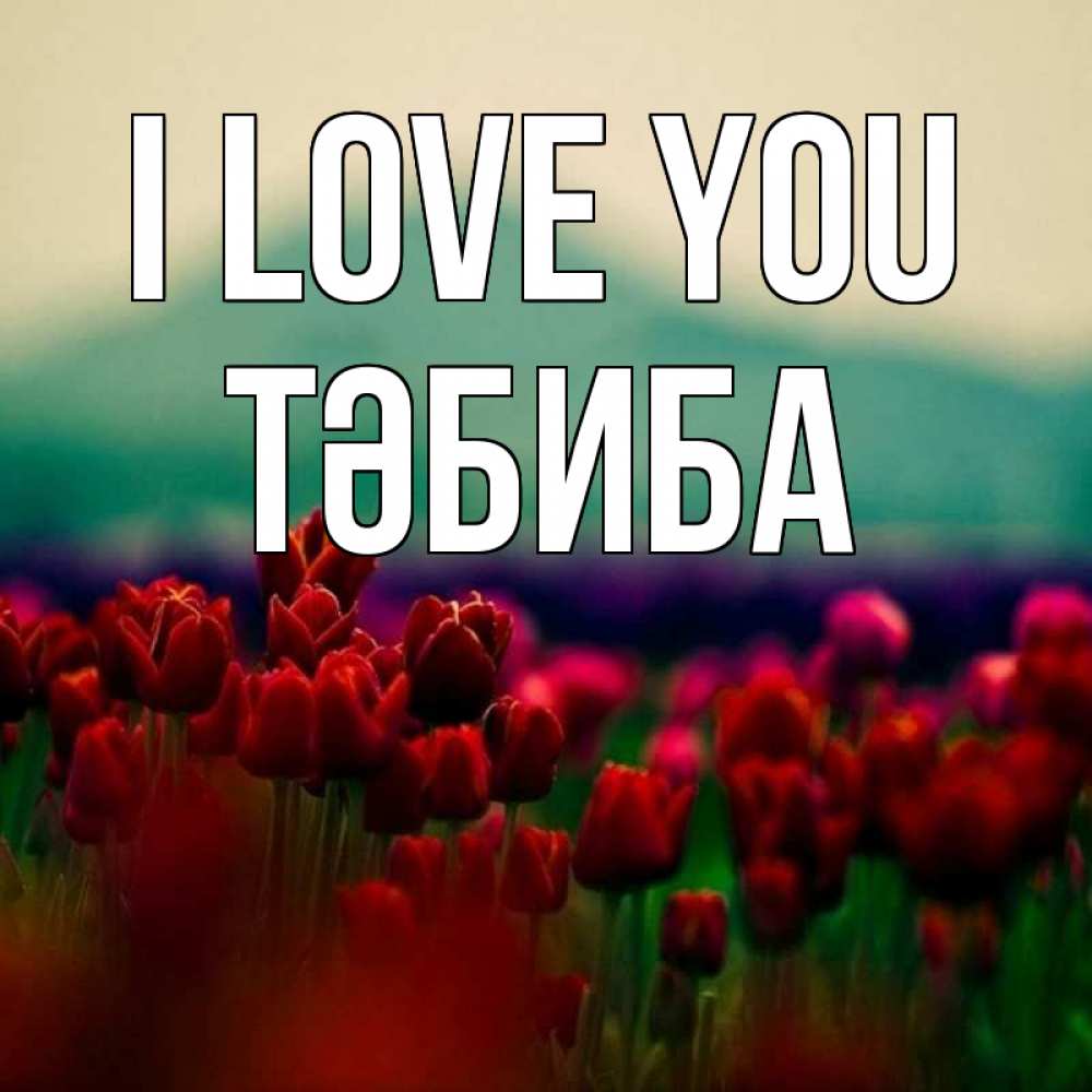 Greetings card с именем, ТӘБИБА I love you тюльпаны 4 Greetings with text for free download 