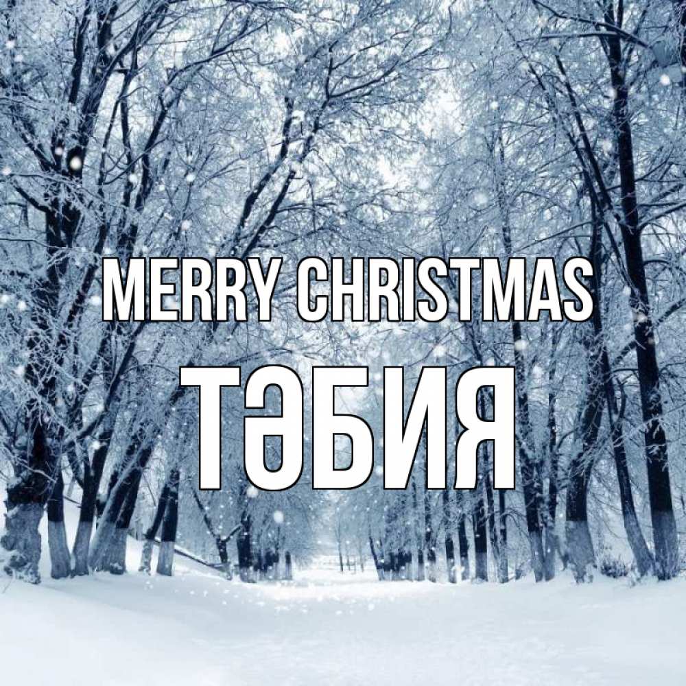 Greetings card с именем, ТӘБИЯ Merry Christmas снег, лес, парк Greetings with text for free download 
