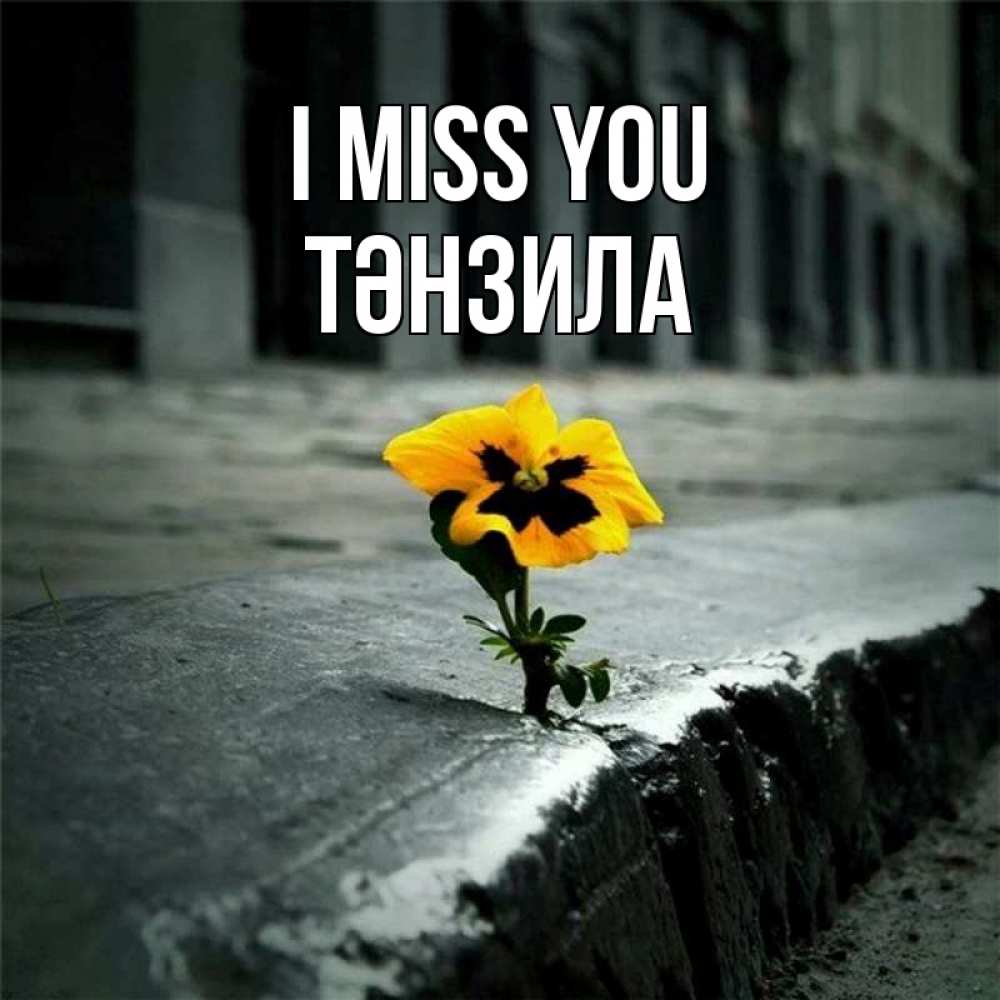Greetings card с именем, ТӘНЗИЛА I miss you надеюсь будет лучше Greetings with text for free download 