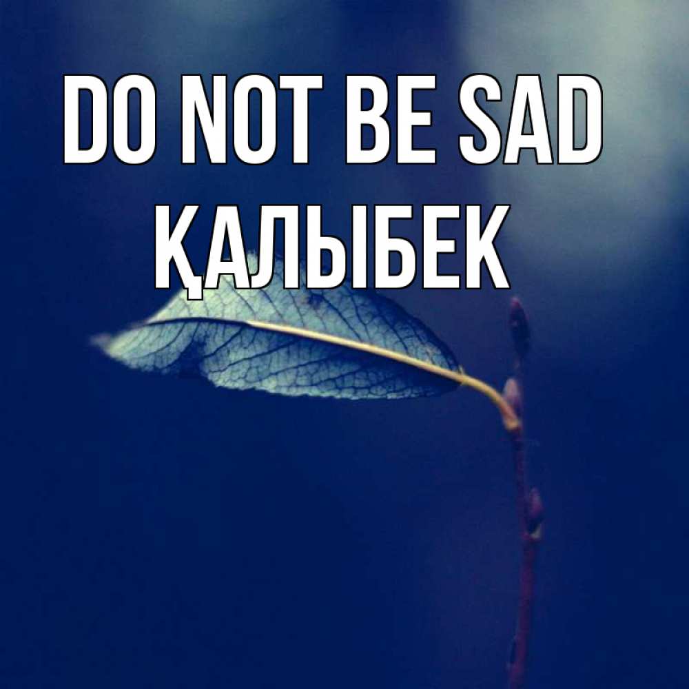 Greetings card с именем, Қалыбек Do not be sad растение Greetings with text for free download 
