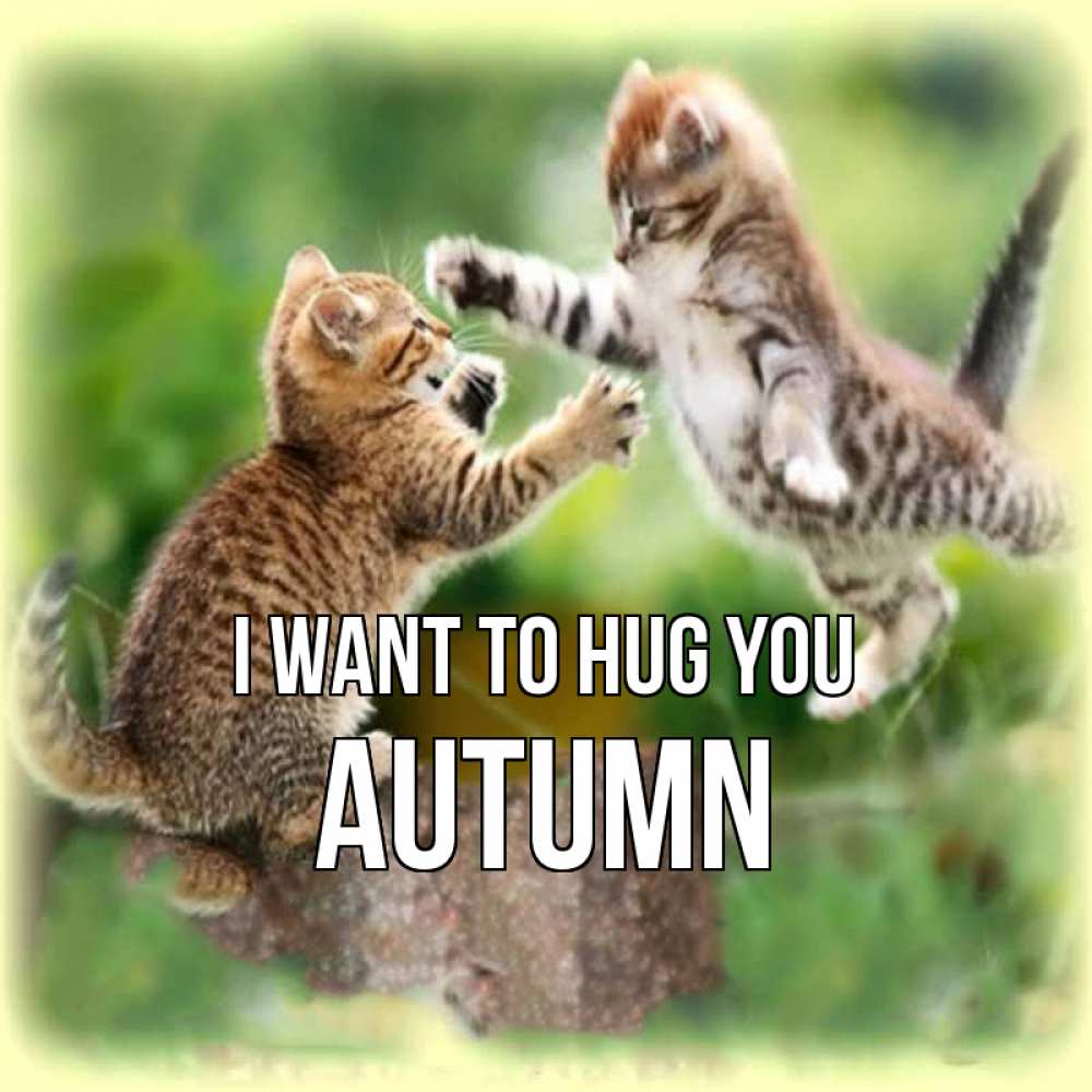 Greetings card с именем, Autumn I want to hug you игры котят Greetings with text for free download 