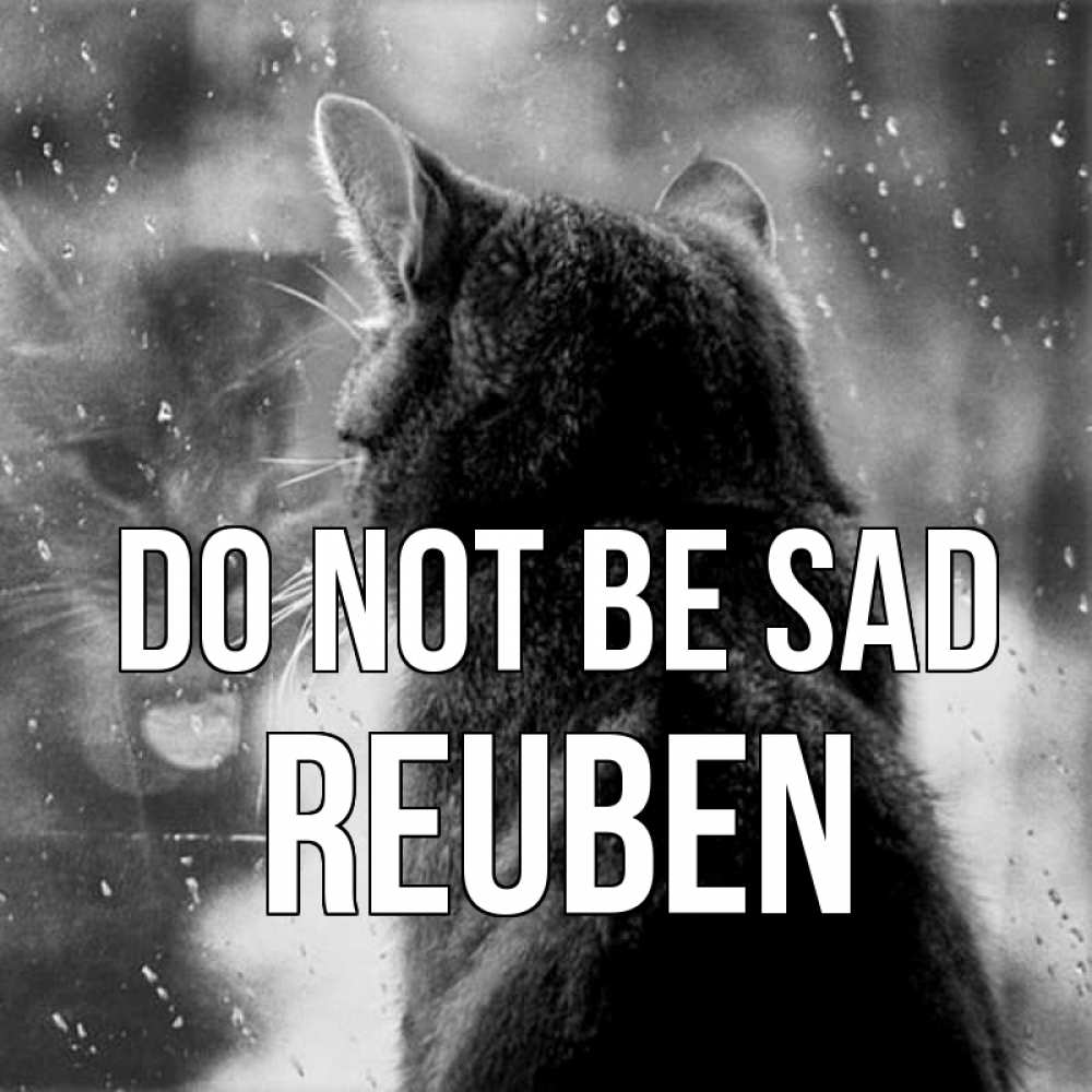 Greetings card с именем, Reuben Do not be sad отражение кота 1 Greetings with text for free download 