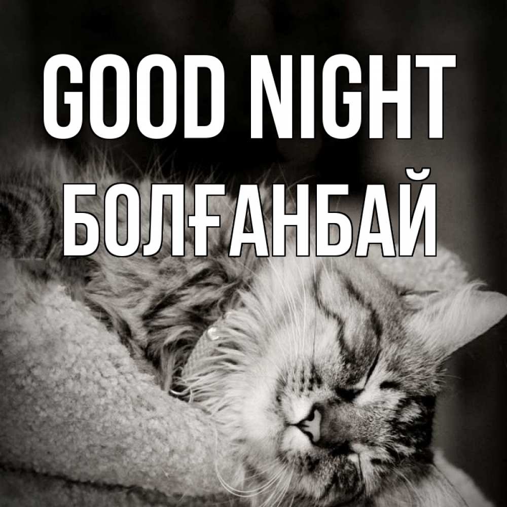 Greetings card с именем, Болғанбай Good night котярик пушистый Greetings with text for free download 