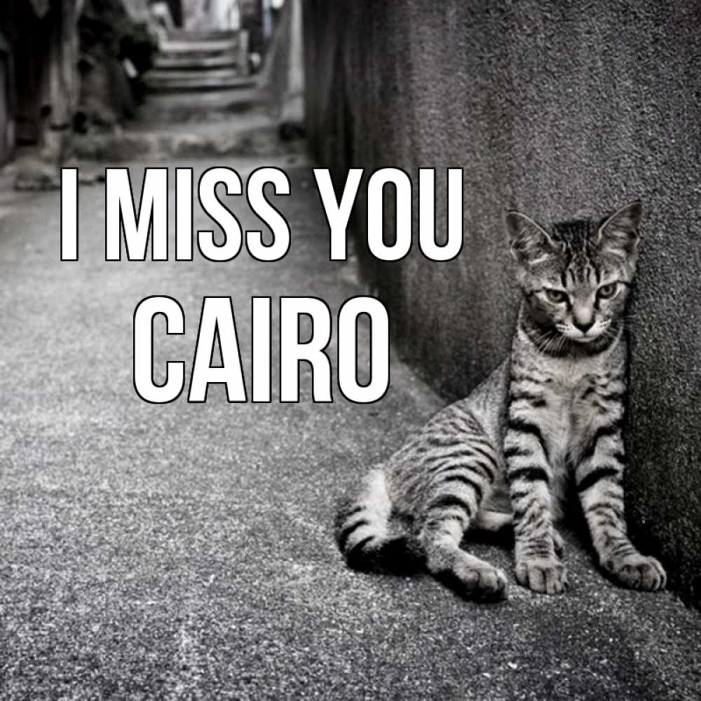 Greetings card с именем, Cairo I miss you одиноко котику Greetings with text for free download 